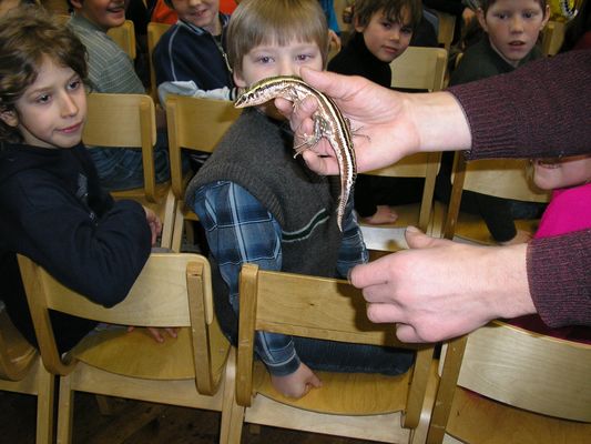 Klikka vaatamaks tissuuruses pilti