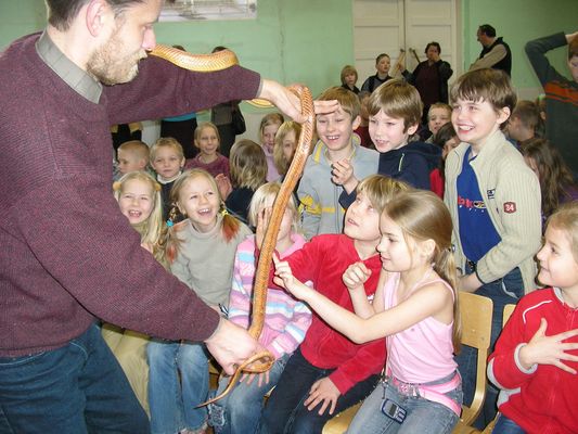 Klikka vaatamaks tissuuruses pilti