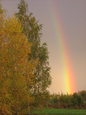 Klikka vaatamaks tissuuruses pilti