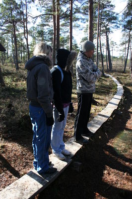 Klikka vaatamaks tissuuruses pilti